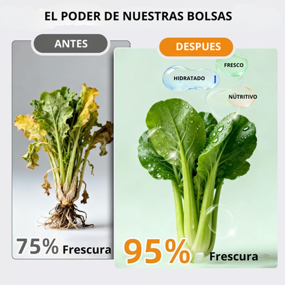 Bolsas Almacenamiento Aluminio